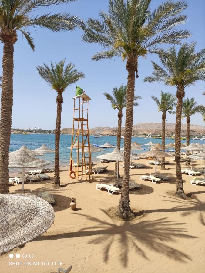 Seti Sharm Palm Beach Resort Families And Couples Only Eksteriør billede